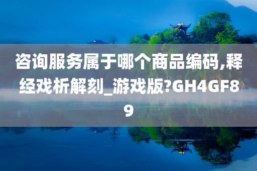 咨询服务属于哪个商品编码,释经戏析解刻_游戏版?GH4GF89