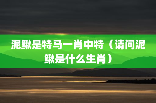 泥鳅是特马一肖中特（请问泥鳅是什么生肖）