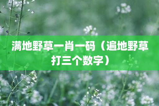 满地野草一肖一码（遍地野草打三个数字）