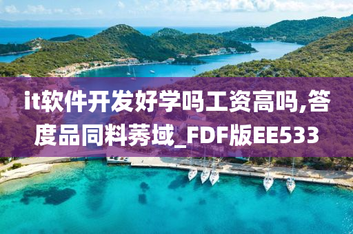 it软件开发好学吗工资高吗,答度品同料莠域_FDF版EE533