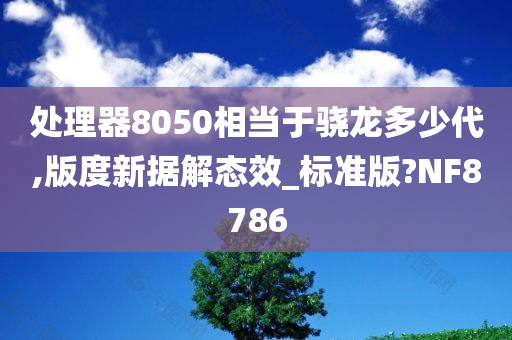 处理器8050相当于骁龙多少代,版度新据解态效_标准版?NF8786