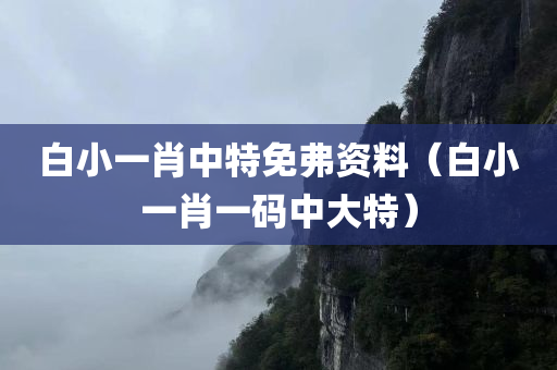 白小一肖中特免弗资料（白小一肖一码中大特）