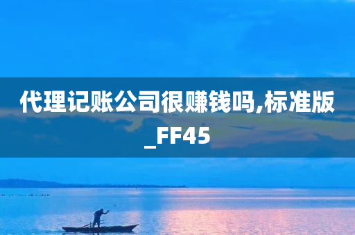 代理记账公司很赚钱吗,标准版_FF45