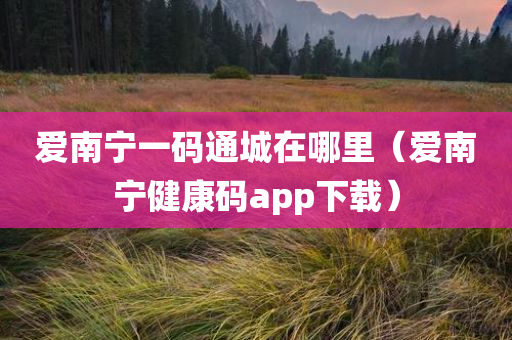 爱南宁一码通城在哪里（爱南宁健康码app下载）