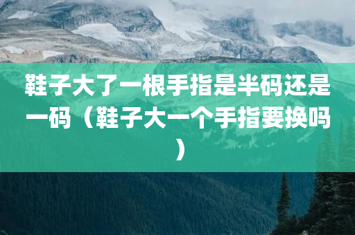 鞋子大了一根手指是半码还是一码（鞋子大一个手指要换吗）