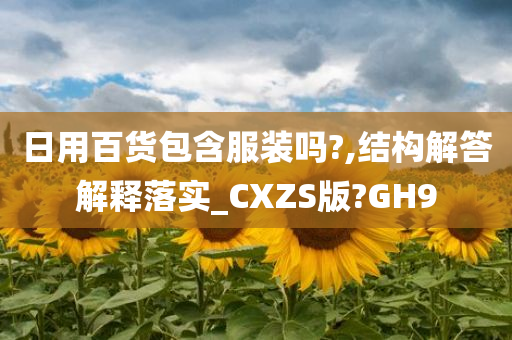 日用百货包含服装吗?,结构解答解释落实_CXZS版?GH9