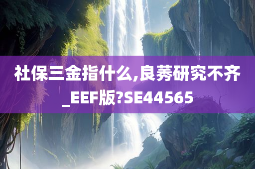 社保三金指什么,良莠研究不齐_EEF版?SE44565