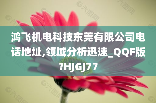 鸿飞机电科技东莞有限公司电话地址,领域分析迅速_QQF版?HJGJ77