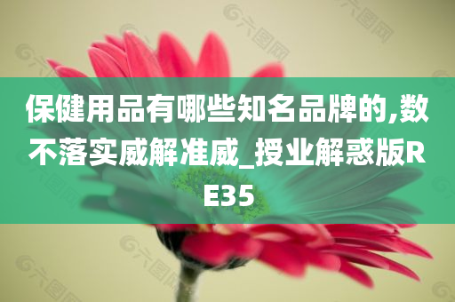 保健用品有哪些知名品牌的,数不落实威解准威_授业解惑版RE35