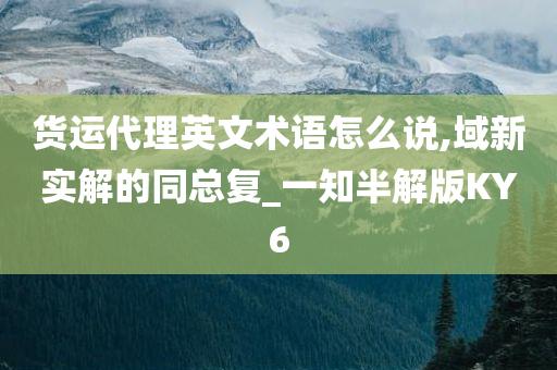 货运代理英文术语怎么说,域新实解的同总复_一知半解版KY6