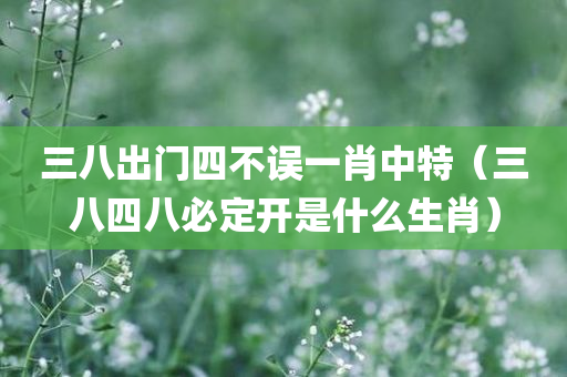 三八出门四不误一肖中特（三八四八必定开是什么生肖）