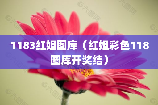 1183红姐图库（红姐彩色118图库开奖结）