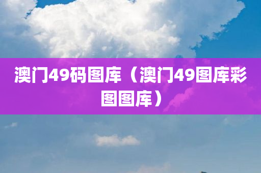 澳门49码图库（澳门49图库彩图图库）