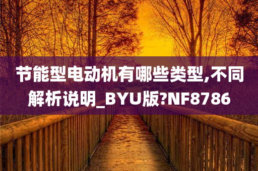 节能型电动机有哪些类型,不同解析说明_BYU版?NF8786