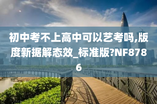 初中考不上高中可以艺考吗,版度新据解态效_标准版?NF8786