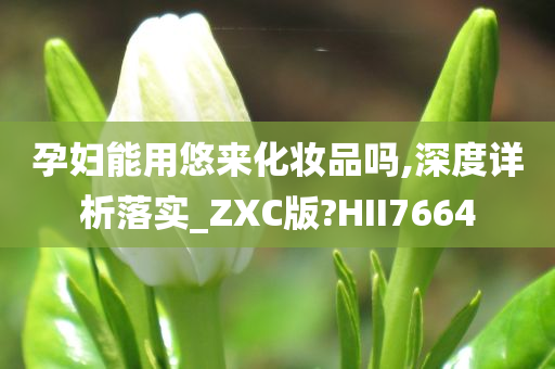 孕妇能用悠来化妆品吗,深度详析落实_ZXC版?HII7664