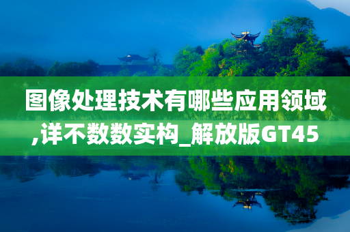 图像处理技术有哪些应用领域,详不数数实构_解放版GT45