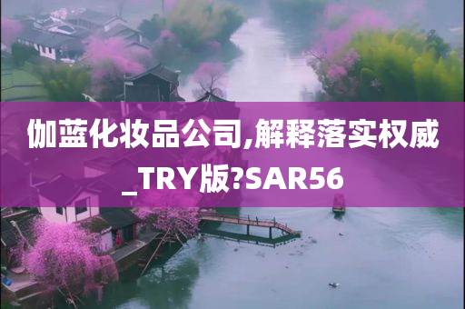 伽蓝化妆品公司,解释落实权威_TRY版?SAR56