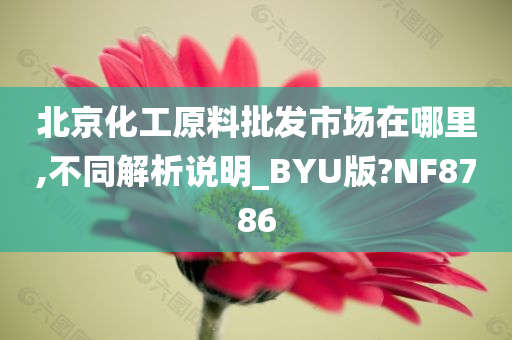 北京化工原料批发市场在哪里,不同解析说明_BYU版?NF8786