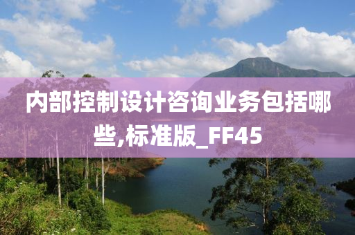 内部控制设计咨询业务包括哪些,标准版_FF45