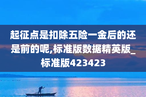 起征点是扣除五险一金后的还是前的呢,标准版数据精英版_标准版423423