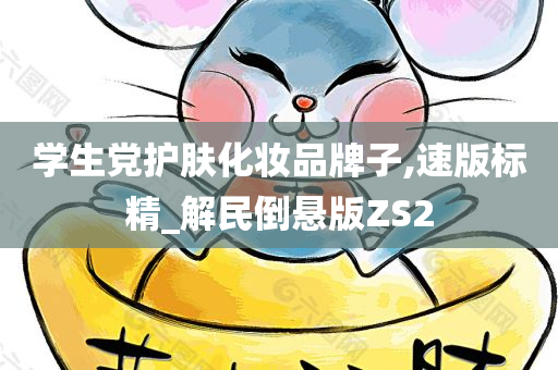 学生党护肤化妆品牌子,速版标精_解民倒悬版ZS2