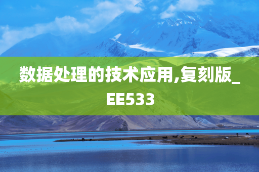 数据处理的技术应用,复刻版_EE533