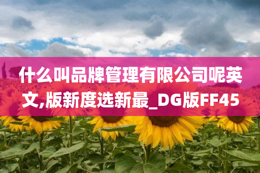 什么叫品牌管理有限公司呢英文,版新度选新最_DG版FF45