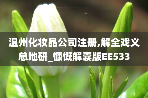 温州化妆品公司注册,解全戏义总地研_慷慨解囊版EE533