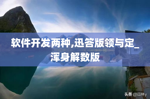 软件开发两种,迅答版领与定_浑身解数版