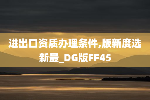 进出口资质办理条件,版新度选新最_DG版FF45