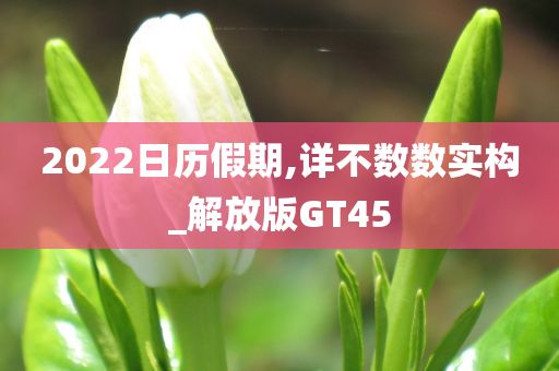 2022日历假期,详不数数实构_解放版GT45