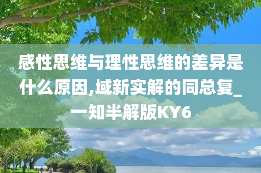 感性思维与理性思维的差异是什么原因,域新实解的同总复_一知半解版KY6