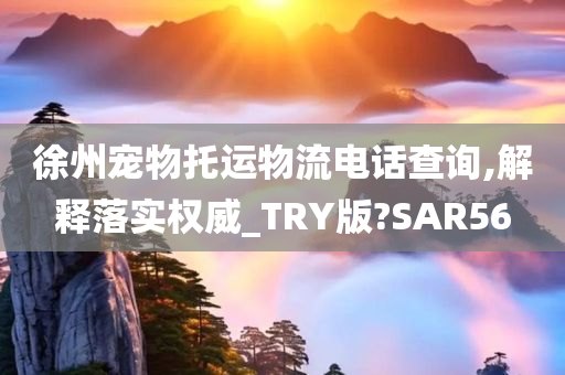 徐州宠物托运物流电话查询,解释落实权威_TRY版?SAR56