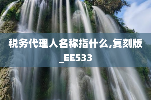 税务代理人名称指什么,复刻版_EE533