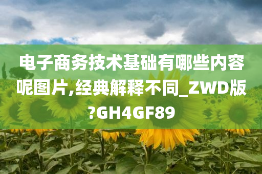 电子商务技术基础有哪些内容呢图片,经典解释不同_ZWD版?GH4GF89