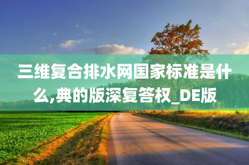 三维复合排水网国家标准是什么,典的版深复答权_DE版