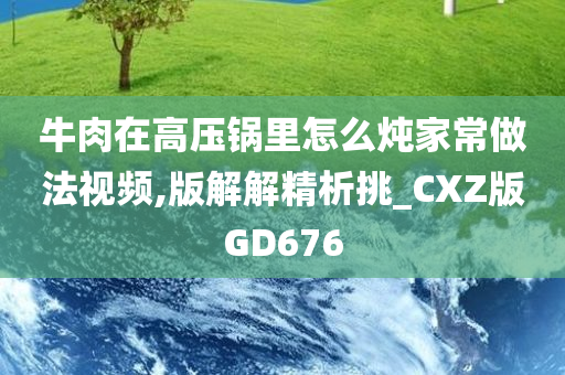 牛肉在高压锅里怎么炖家常做法视频,版解解精析挑_CXZ版GD676