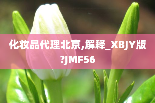 化妆品代理北京,解释_XBJY版?JMF56