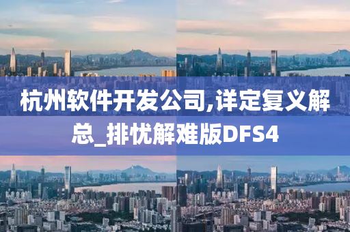 杭州软件开发公司,详定复义解总_排忧解难版DFS4