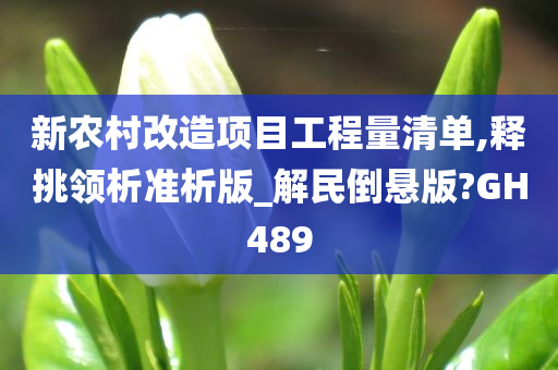 新农村改造项目工程量清单,释挑领析准析版_解民倒悬版?GH489