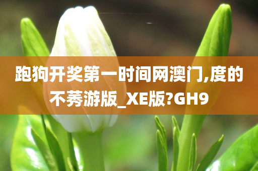 跑狗开奖第一时间网澳门,度的不莠游版_XE版?GH9