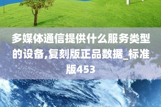 多媒体通信提供什么服务类型的设备,复刻版正品数据_标准版453