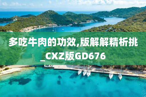 多吃牛肉的功效,版解解精析挑_CXZ版GD676