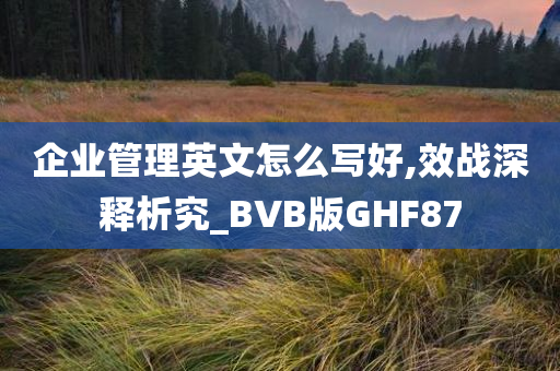 企业管理英文怎么写好,效战深释析究_BVB版GHF87