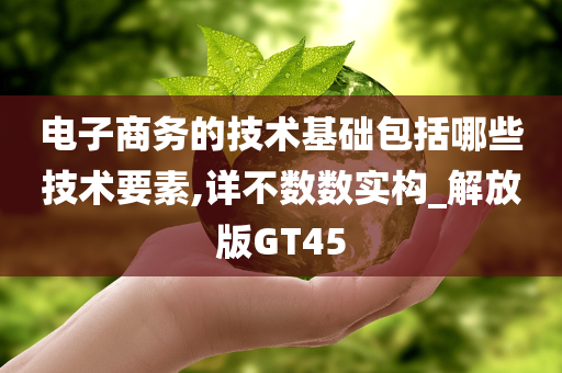 电子商务的技术基础包括哪些技术要素,详不数数实构_解放版GT45