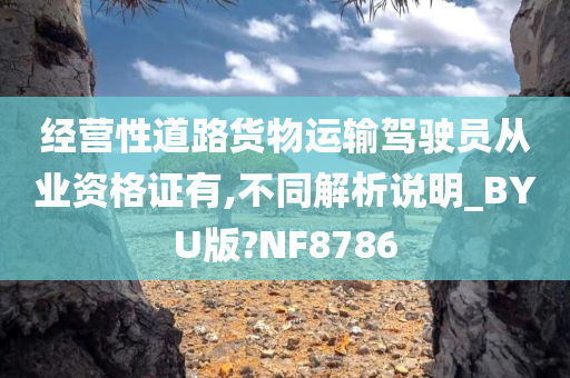 经营性道路货物运输驾驶员从业资格证有,不同解析说明_BYU版?NF8786