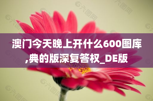 澳门今天晚上开什么600图库,典的版深复答权_DE版