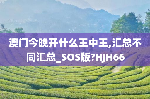 澳门今晚开什么王中王,汇总不同汇总_SOS版?HJH66