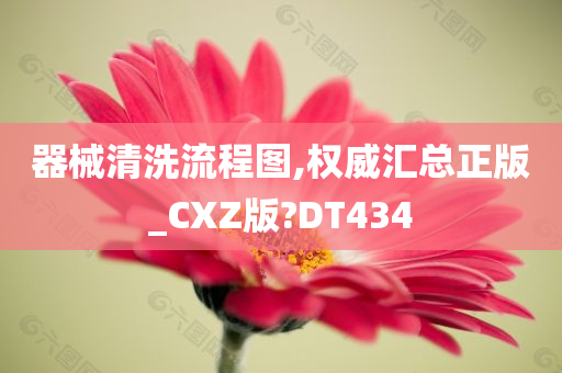 器械清洗流程图,权威汇总正版_CXZ版?DT434